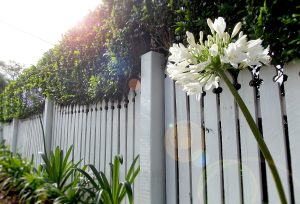 Fence Replacement in Sudbury 